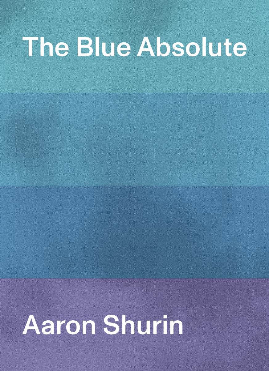 The Blue Absolute by Aaron Shurin 