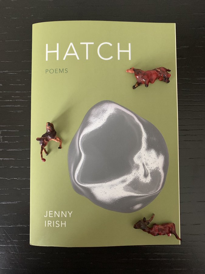 The poetry collection HATCH by Jenny Irish