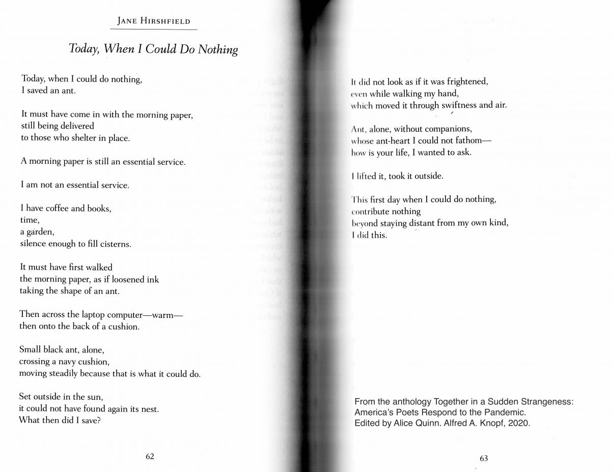 The text of the poem "Today, When I Could Do Nothing" by Jane Hirshfield