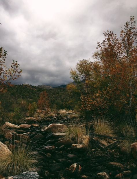 rocky desert path under cloudy sky