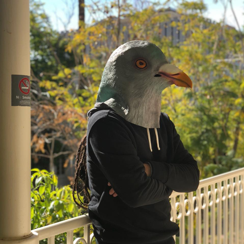 Photo of man wearing pigeon mask