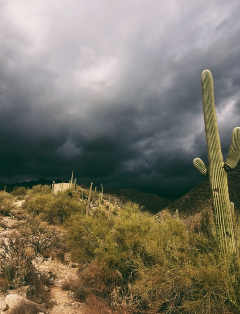 Photo of storm over Arizona mountains with saguaro cactus in front