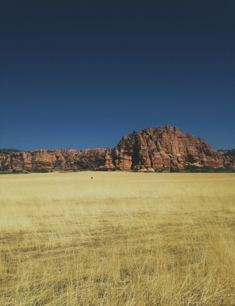 arizona grassland with large rock in the background