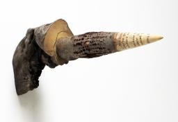 Wood sculpture by Susan Lyman based on Alison Hawthorne Deming's poem "Castalia"