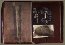Image of Cecilia Vicuña's Saborami