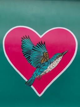 A teal hummingbird in a pink heart against a teal background, photo by Andrew Lane