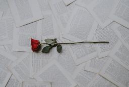 A single red rose sits on top of pages full of text, spread out