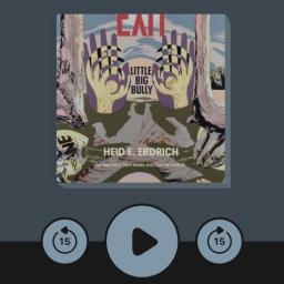 A screenshot of Heid E. Erdrich's Little Big Bully playing in the Libby audiobook app.