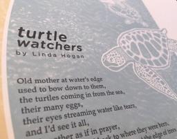 Detail of broadside: Turtle Watchers by Linda Hogan
