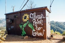 mural of a sunflower alongside the phrase "Always Room To Grow"