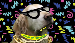 Photo of golden retriever with 90s squiggle background and drawn on glasses