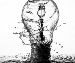 water in the shape of a lightbulb