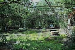 Abandoned bumper cars covered in greenery at Chernobyl