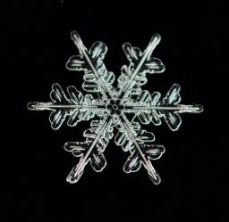 Snowflake against a black background