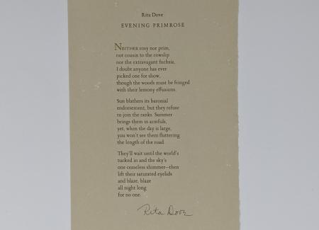 broadside of Rita Dove's "Evening Primrose"