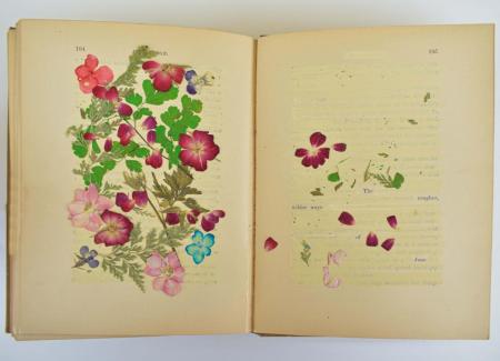 An open book with most of the text covered in white out, and the left-hand page obscured by pink, magenta and blue flowers