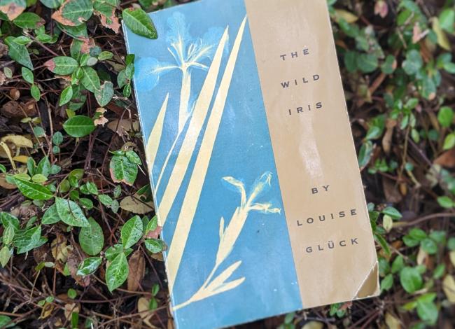 A worn copy of THE WILD IRIS laying as a soft slant on a lawn.