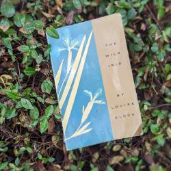 A worn copy of THE WILD IRIS laying as a soft slant on a lawn.